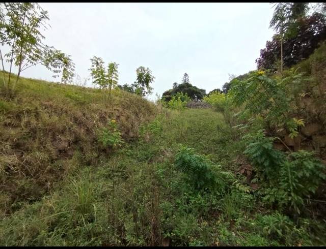LAND FOR SALE IN LA LUCIA